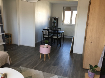 Appartement situé au 1er étage d'un petit immeuble de caractère, proche centre ville et commerces. Comprenant cuisine équipée, salon, séjour, chambre, salle d'eau, WC séparé. Chauffage individuel gaz. Jardin commun à l'arrière.