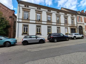 Immeuble Bitche. Immeuble de caractère au centre ville historique de Bitche :
Nord Sud Immobilier a le plaisir de vous proposer cet immeuble remarquable et en parfait état de conservation.
En rez de chaussée se trouve un local  d'entreprise de 142m²  avec 2 grands espaces  de 53m² et 39m², cuisine, un pièce de 12m², Wc séparés et hall d'entrée.
A l'étage : un spacieux appartement de 181m² avec  cuisine, 7 belles pièces avec de belles hauteurs sous plafond, salle d'eau et Wc suspendu.
Le grenier de 208m² peut encore être aménagé.
Terrain exploitable pour jardin sans vis à vis ....
Dpe classé en F pour l'appartement et en C pour le local.
Contact Nord Sud immobilier à Bitche , Rohrbach les Bitche, Diemeringen et Sarreguemines au 0372640102.