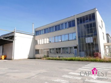 Commerce Phalsbourg