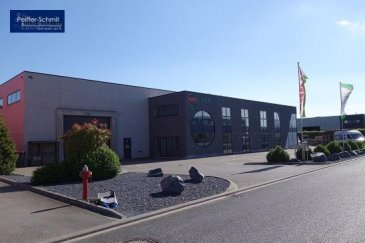 A louer Hall faisant 604 m2 et 50m2 sur Mezzanine, 156m2 de bureaux, <br>7 parkings <br />Ref agence :725829