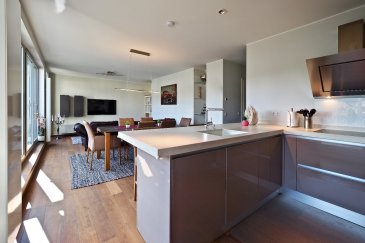 Penthouse à Schifflange