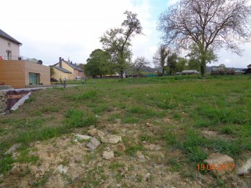 Terrain
