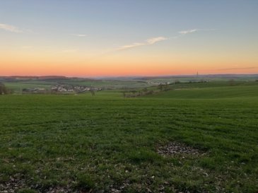 Joli terrain labourable, commune de Biwer, section C de Biwer,  lieu dit:an den Wakelter, cadastre N°1995/6328 contenance 142,90 ares.