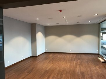 Appartement - Luxembourg-Belair