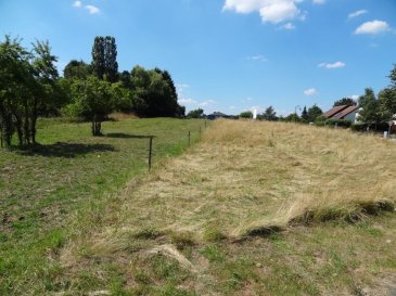 Maison individuelle - Syren