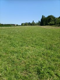 Holving - Terrain constructible 38,26 ares. Nord Sud Immobilier vous présente ce beau terrain de 38,26 ares, idéalement situé sur la commune de Holving (57510).

Ce terrain offre une façade de 22,50 mètres, permettant diverses possibilités d'aménagement selon votre projet.

*Points forts :
Environnement calme et verdoyant ;
Belle surface et façade exploitable ;
Proximité des commodités et axes principaux.

Certificat d'urbanisme opérationnel : possibilité d'y construire une maison individuelle ; parcelle desservie par l'eau, l'électricité, l'assainissement et voirie.

Situé à 10 km de la bretelle d'accès à l'autoroute A4 et à environ 15 km de Sarreguemines, proche toutes les commodités, établissements médicaux et scolaires, ainsi que d'une gare SNCF.

Les informations sur les risques auxquels ce bien est exposé sont disponibles sur le site Géorisques : www.georisques.gouv.fr

Nord Sud immobilier à Sarreguemines, Rohrbach les Bitche, Bitche et Diemeringen.