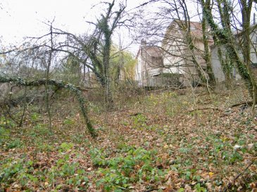 Terrain constructible