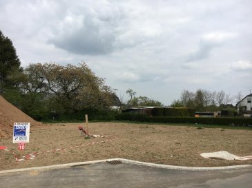 Terrain à Folschette