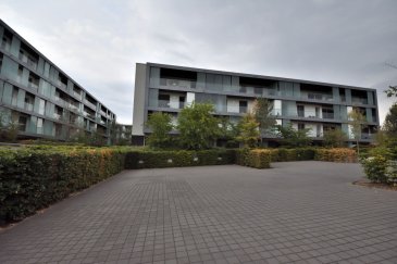 APPARTEMENT A LOUER AUX ETANGS!!! 
Belardimmo Mondorf vous propose en exclusivité à louer un appartement d'une surface de  /-105m² habitable. 
L'appartement est situé au 3 étages avec ascenseur dans une résidence de haut standing à Mondorf juste en face du Casino. 

L'appartement est composé ainsi: 
- Grand Hall d'entrée avec placard intégré
- Cuisine toute équipée ouverte sur séjour et terrasse
- Grand séjour / salle à manger avec accès terrasse
- 2 chambres à coucher 
- 1 chambre parentale avec salle de bain privative et balcon privatif
- Débarras 
- WC séparé 

A proximité: 
- Supermarché
- Ecole
- Autoroute
- Restaurants 

Pour plus d'informations contactez-nous au 26 54 31 48 / 621 402 536.



Ref agence :AS033