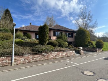 Situé au rez de chaussée de la résidence construite en 2014, bel appartement de +/- 57 m² + terrasse de +/- 8 m² ainsi que 2 jardins privatifs de +/- 40 m2 chacun, comprenant :

- Hall d'accueil.
- Salon et salle à manger avec accès terrasse et au jardin privatif.
- Cuisine équipée ouverte sur salle à manger.
- Salle de douche avec WC.
- Grande chambre à coucher.
- Cave privative.

La résidence est située dans un quartier exclusivement résidentiel très tranquille. Tout en étant à proximité immédiate de commerces et supermarchés, des transports en commun, écoles.

En très bon état d'entretien, aucun travail de rénovation est nécessaire : disponible immédiatement.
La classe énergétique du bien est C/C.