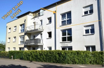 L'agence IMMOLORENA de Pétange vous propose un très bel appartement de 801 m² au deuxième étage à louer, dans une résidence très bien entretenue
Il se compose comme suit :

- Un hall d’entrée de 2,60 m²
- Cuisine toute équipée séparée de 10,07 m²
- Un débarras de 4,01 m²
- Un WC séparé de 1,40 m²
- Un salon 24,19 m²
- Un hall de nuit de 4,07 m²
- Une chambre de 15 m² 
- Une chambre de 13
- Une salle de bain avec douche de 4,35 m²


L’appartement dispose d'une cave privative et d’un emplacement intérieur.

À VOIR ABSOLUMENT!

Pour tout contact:
Kevin dos Santos: +352 691 318 013

L'agence ImmoLorena est à votre disposition pour toutes vos recherches ainsi que pour vos transactions LOCATIONS ET VENTES au Luxembourg, en France et en Belgique. Nous sommes également ouverts les samedis de 10h à 19h sans interruption.