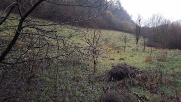 Terrain constructible