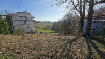 TERRAIN A BATIR SANS CONTRAT 
                      DE CONSTRUCTION

Beau terrain à bâtir de 7,46 ares (746 m²) sans contrat de construction situé dans le village calme de Grevels, au sein de la commune de Grosbous. 

Ce terrain est idéal pour un projet résidentiel et convient parfaitement à la construction d'une maison unifamiliale.  

Atouts du terrain :  
- Environnement paisible avec une vue magnifique sur la nature 
- Cadre verdoyant offrant une atmosphère agréable et sereine 
- Accès rapide vers Redange (+/- 15 min) et Ettelbruck (+/- 20 min) 

- Écoles et infrastructures éducatives disponibles dans la commune 
- Bonne connexion aux transports publics 
- Raccordements : eau, électricité et canalisation déjà disponibles 
- Construction : libre choix, pas de contrat ni d'obligation de construire  

Ce terrain offre un équilibre parfait entre tranquillité rurale et proximité des services essentiels, idéal pour une famille souhaitant construire son futur foyer.