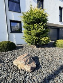 MANSO IMMO vous propose en exclusivité cette magnifique maison contemporaine, en parfait état, offrant des finitions soignées et des matériaux de haute qualité.

Dotée d'une excellente classe énergétique AB, cette maison répartie sur deux niveaux est idéalement située à Rodange, à proximité immédiate de toutes les commodités (crèches, commerces, axes routiers), tout en bénéficiant d'un environnement calme et agréable au sein d'un lotissement résidentiel.

Rez-de-chaussée :
L'accès à la maison se fait soit par le garage, avec un accès direct à l'arrière de la maison, soit par l'entrée principale qui mène à une spacieuse et lumineuse pièce de vie, baignée de lumière grâce à de larges baies vitrées. La cuisine, entièrement équipée est à la fois fonctionnelle et conviviale, idéale pour les amateurs de cuisine. Elle donne un accès direct à la terrasse et au jardin. Le séjour se compose d'un espace salon et d'une salle à manger. 

La terrasse, idéalement orientée, s'ouvre sur un jardin entièrement clôturé, agrémenté d'une cabane, parfait pour profiter des beaux jours en toute tranquillité.

Ce niveau est complété par un wc séparé, un local technique ainsi qu'une buanderie.

Étage :
L'espace nuit, desservi par un couloir, comprend deux belles chambres à coucher ainsi qu'une salle de douche.

La pièce maîtresse de cet étage est une superbe suite parentale, comprenant un grand dressing sur mesure parfaitement aménagé ainsi qu'une salle de douche privative aux finitions élégantes.

Extérieur : 
Deux emplacements de parking privatifs devant la maison 

Une maison idéale pour une famille à la recherche de confort, de modernité et de tranquillité. 

À visiter sans tarder !

Toutes les indications sont basées exclusivement sur les informations mises à notre disposition par nos clients. Nous n'assumons aucune garantie quant à l'exactitude et l'actualité de ces indications.

Les prix affichés s'entendent frais d'agence inclus de 3% + 17%TVA. Les honoraires d'agence sont à charge des vendeurs.

Pour plus d'informations, photos ou convenir d'un rendez-vous, vous pouvez nous contacter au : +352 24 51 33 79 info@mansoimmo.lu