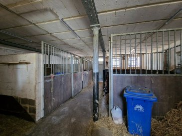 +++ Idéal pour les amoureux des CHEVAUX +++

Cadre de vie particulièrement agréable pour cette propriété édifiée au coeur d'un écrin de verdure à Merscheid.

Propriété unique dans un environnement calme entourée de garrigues et de forêt. Des installations équestres parfaitement entretenues, sécurisées et fonctionnelles feront de vos chevaux et de leurs propriétaires un lieu privilégié.

Ferme datant du 19ème siècle dans le village de Merscheid, commune de Putscheid.

Ce bien, avec une surface utile supérieure à 1064 m² est composé d'une part, d'une maison principale offrant une surface habitable d'approximativement 300 m² et comprend 5 chambres à coucher et diverses terrasses de 149.98 m² en total.

D'autre part, le bien est composé d'un duplex d'une surface habitable de 116.88 m² avec 2 chambres à coucher. Ils viennent s'ajouter 4 garages, une grande grange, un atelier et 6 box pour chevaux.

Composition de la maison principale :
- sous-sol : cave (33.92 m²), chaufferie (26.46 m²)
- rez-de chaussée : entrée (13.14 m²), séjour avec salle à manger (29.43 m²), cuisine (14.77 m²), living (12.37 m²), buanderie (12.54 m²), débarras (11.94 m²), WC séparé, terrasses (134.35 m²), abri de jardin (26.60 m²).

- 1er étage : hall (16,93 m²), chambre 1 (14,13 m²), chambre 2 (14,29 m²), chambre 3 (13,05 m²), chambre 4 (10,07 m²) chambre 5 (12,11 m²) avec balcon (15,63 m²), bureau (6,32 m²), salle de bains avec baignoire et douche (13,19 m²).

- grenier +/- 100 m².
Composition de l'appartement :
- rez-de-chaussée : entrée (2.45 m²), séjour (44.45 m²), cuisine (7.06 m²). - 1er étage : hall (10.14 m²), chambre 1 (25.44 m²), chambre 2 (14.01 m²), salle de bains (13.33 m²). Granges (400.88 m²), 4 garages pour 5 voitures (118,82 m²), atelier (65.76 m²), 6 box pour chevaux (118.98 m²).

A proximité de Diekirch (+/- 15min) respectivement de Marnach (+/- 15min).

Pour tout renseignement complémentaire ou information veuillez nous contacter par email info@immonordstrooss.lu ou par Tél: 691 850 805.

Proposition de crédit/financement à taux compétitif auprès des banques Luxembourgeoise incluse dans nos services gratuits.