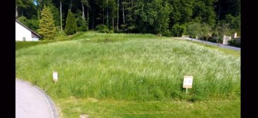 Bauland in Larochette