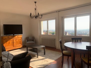 ROMBAS - Appartement meublé F3 de 75.13 m2. Au 1er et dernier étage d\'une petite copropriété (2 logements) et au calme sur les hauteurs de la ville, appartement meublé et lumineux de type F3 d\'une surface habitable de 75.13m². Composé d\'une entrée desservant un salon - salle à manger, cuisine indépendante équipée et dinatoire, 2 chambres, salle de bains, wc séparés. Loué avec une cave en rez-de-chaussée, possibilité de stationner un véhicule.<br/>Double vitrage PVC, volets roulants, chauffage individuel gaz (chaudière murale), adoucisseur d\'eau.<br/>Copropriété de 2 lots (Pas de procédure en cours).