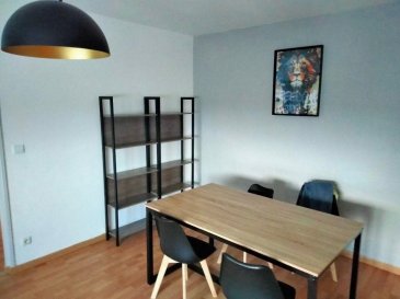 F2 entièrement rénové dans une copropriété avec ascenseur et concierge, proche de toutes commodités. Il comprend : cuisine équipée - séjour - une chambre - salle de douche - une cave - une place privative de parking. Chauffage au gaz.