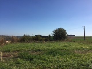 Terrain constructible à Aumetz