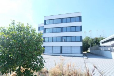 LUXEMBOURG CLOCHE D'OR, Immeuble à bureaux à 4 étages neuf à louer situé à la rue Eugène Ruppert, de 800  m2 habitable desservi par deux ascenseurs. Il est composé comme suit: 3ème étage bureaux open space à cloisonner,  toilettes, local technique, 
Sous sol: plusieurs places de parking à louer au prix de 200 euros 
Les surfaces sont divisibles et peuvent être cloisonnées, 
L'immeuble est équipée de : triples vitrages, façade isolante, air conditionné, fenêtres closes, faux plafonds, deux ascenseurs,  
Les plateaux peuvent êtres loués séparément ou en totalité 
Prix hors charges sans parkings : 19.000 euros 

