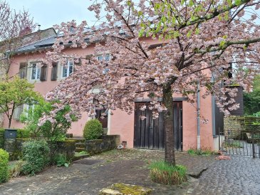 Ancienne ferme, entièrement rénovée, avec beaucoup de charme dans un environnement très calme et un jardin très romantique. 

La maison a été construite en 1900 et rénovée en 2010. De plus, elle a été mise à jour l'année dernière. Une cuisine moderne et 2 salles de bains modernes ont été installées. L'ensemble du bâtiment a été rénové dans un style ancien, de manière très haut de gamme. Au rez-de-chaussée, il y a une grande salle à manger, une grande cuisine moderne avec accès à la terrasse, une salle de bains, un WC pour invités, la cave de chauffage et un garage pour une voiture. Au premier étage, il y a un grand salon (50m2) avec cheminée et accès à la terrasse et à l'incroyable jardin, 2 chambres à coucher et une salle de bains. Au 2ème étage, se trouvent un grand espace ouvert (mezzanine) et une autre chambre à coucher. L'ensemble de la maison a été rénové dans un style ancien impressionnant. Devant la maison, il y a une petite place pour 2 voitures. Derrière la maison, il y a 2 terrasses et un grand jardin paysager avec une fontaine. Selon le souhait du locataire, la taille du jardin peut être ajustée. 

Les conditions requises sont un CDI, un revenu minimum de 8.000 euros nets, fumer à l'intérieur de la maison n'est pas autorisé, les animaux uniquement avec l'accord du propriétaire, pas de colocations. 

Kapenaker fait partie de la municipalité de Wormeldange et est un très petit village avec seulement quelques maisons. On est au cœur de la nature, mais à proximité de la ville de Luxembourg, de la Moselle, du Kirchberg et de l'aéroport. 100 % romantique.