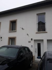 Duplex