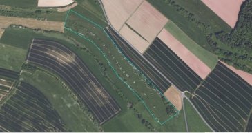 Grünland- Wiesenfläche in Gransdorf  zu verkaufen 63231 qm groß für 79.000 €uro
