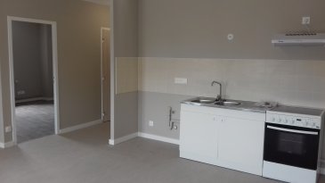 Appartement T3 situé au 1er étage d'un bâtiment entièrement réhabilité comprenant salle d'eau, WC séparé, grande pièce à vivre avec coin cuisine (avec four, plaque, hotte), 2 chambres.  
Chauffage individuel gaz, place de stationnement privative.  
Frais de dossier : 200 € pour rédaction de bail + 100 € pour état des lieux  

« Montant estimé des dépenses annuelles d'énergie pour un usage standard : entre 490 € et 700 € par an. Prix moyens des énergies indexés sur l'année 2021 (abonnements compris). »