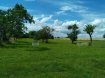 Terrain constructible Vente à Buzy-Darmont - 54 500 € En exclusivité chez Agora.Très beau terrain constructible, arboré et entretenu d'une surface de 2845m², avec une façade de plus de 20m.Situé rue d'Aucourt, 55400, Buzy D'Armont.Terrain non viabilisé, tous les réseaux sont accessibles en limite de propriété.Proche des communes de Jarny et d'Etain et des accès autoroutiers.Prix de vente 72.000 euros honoraires à charge Vendeurs.Pour plus d'information nous contacter au 03 82 20 25 26 .