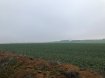 Terrain constructible Vente à Lexy - 110 000 € Dernières parcelles disponibles sur la zone des Petites Quémènes à Lexy (zone du Karting)
A partir de 3250m²
Zone 1AuX
Plus d'information au 06 45 86 33 32