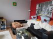 Maison mitoyenne Location 3 chambres à Boulange - 730 € c.c. Boulange :
A louer dans un secteur calme à 10 min de la frontière Lux, maison mitoyenne de 73m² sur 3 niveaux composée d'une cuisine, d'un séjour de 15,50m², une salle d'eau avec douche italienne, 3 chambres dont une avec salle d'eau privative, wc séparé.
Cave, place de parking, terrasse (Pas de jardin).
DPE en cours.
Loyer : 700 euros,
Charges en sus : 30 euros,
Dépot de garantie : 700 euros,
Honoraires : 511 euros.
LENOIR IMMOBILIER: Vente, Location, Gestion.
www.lenoir-immobilier.fr