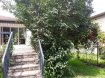 Maison Vente 3 chambres à Rémilly - 199 000 € REMILLY - MAISON INDIVIDUELLE AU CALME. REMILLY, village avec toutes commodités, commerces, gare SNCF, au calme, maison individuelle F6 rez-de-jardin sur sous-sol complet comprenant au rez-de-chaussée : un grand garage, une chaufferie/buanderie, un atelier, un bureau, une chambre, une entrée, à l'étage : trois chambres, une salle de bains, WC, une cuisine, un grand salon séjour donnant sur terrasse avec accès jardin, un beau terrain arboré.