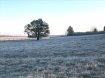 Terrain constructible Vente à Rambucourt - 39 000 € Terrain à bâtir . Entre Commercy et Pont A Mousson terrain à batir non viabilisé. Surface de 2365 m2 avec 50 ML de facade. A voir rapidement.