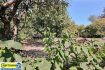 Terrain constructible Vente à Metz - 278 500 € UNIQUE TERRAIN DE 12,70 ARES EN SECTEUR RÉSIDENTIEL.
¤¤ UNE EXCLUSIVITÉ Capt'Immo ¤¤
FAÇADE DE PLUS DE 30 MÈTRES !
AU CENTRE DE SCY CHAZELLES.
AU PIED DES CÔTES DE MOSELLE, A PROXIMITÉ DU
CENTRE ROBERT SCHUMAN.
SANS NUISANCE ROUTIÈRE. POSITION PANORAMIQUE. UNE SITUATION VILLE A LA CAMPAGNE UNIQUE !
UNE GARANTIE DE BIEN VIVRE
A 400 M DE LA L’ARRÊT DE BUS LIGNE L5 ARRÊT ST JEAN.
LIAISONS DIRECTES ET FRÉQUENTES METZ CENTRE
AU SEIN DE METZ MÉTROPOLE.
A 6 MN DU CONTOURNEMENT DE METZ.
A 4 MN ACCÈS A4 / A31 LUXEMBOURG, THIONVILLE, NANCY, PARIS
A 15 MN DE METZ CENTRE
A 8 MN DE LA ZAC ACTISUD DE JOUY AUX ARCHES AUGNY
A 25 MN DE LA GARE TGV DE LOUVIGNY
A 25 MN DE L'AÉROPORT METZ, NANCY, LORRAINE
A 25 MN DE PONT A MOUSSON
A 40 MN DE NANCY CENTRE A PROXIMITÉ IMMÉDIATE DES TRANSPORTS EN COMMUN, DES ÉCOLES, DES SERVICES, DES COMMODITÉS, DES COMMERCES ET CENTRES COMMERCIAUX
Découvrez ce terrain panoramique, idéalement situé dans
un secteur résidentiel de qualité, sans nuisance
routière, sans vis-à-vis avec une vue exceptionnelle.
Libre de constructeur.
Vendu avec un certificat d'urbanisme permettant
la réalisation d'une construction de 400 m² de
plancher sur 2 niveaux. 200 m² par niveau.
Un terrain rare sur un secteur recherché
à découvrir sans attendre !
Honoraires d'agence à la charge du vendeur
Visites 7 jours sur 7 sur RDV.
Renseignement
Capt'Immo 3,5%
Votre solution immobilière !
Moins d'honoraires ! Conseils et services en plus !