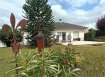 Maison Vente 3 chambres à Rémelfing - 350 000 € Propriété Remelfing 5 pièces 94 m². Située à Rémelfing, à seulement 3 km de Sarreguemines, cette maison individuelle construite en 1981 vous accueille dans un environnement calme et verdoyant.
La maison se compose d'un sous-sol complet comprenant un garage, une buanderie, une chaufferie, une salle d'eau ainsi que deux pièces supplémentaires pouvant servir de bureau, salle de jeux ou espace de stockage.
Au rez-de-chaussée, vous découvrirez une entrée avec dégagement desservant une salle à manger attenante au salon, une cuisine indépendante donnant accès à la terrasse, une salle de bains contemporaine, des WC séparés et 3 chambres à coucher. Les combles sont aménageables, offrant un potentiel d'agrandissement intéressant.
À l'extérieur, une allée en pavés mène directement au garage. Un escalier en granit donne accès à l'entrée principale. À l'arrière, une terrasse non couverte avec sol en dalles idéale pour profiter des beaux jours.
Le bien dispose également d'une piscine avec liner ainsi qu'une charmante dépendance construite en pierres avec poutres apparentes et parois vitrées type véranda. Cet espace chaleureux comprend une pièce avec cheminée à insert ouvert, une salle d'eau avec douche, lavabo et WC, ainsi qu'un local technique dédié à la piscine.
Le bien s'étend sur un grand terrain de 55,27 ares, partiellement clos, agrémenté d'un joli verger à l'arrière.
Les informations sur les risques auxquels ce bien est exposé sont disponibles sur le site Géorisques : www.georisques.gouv.fr
Nord Sud Immobilier à Sarreguemines, Rohrbach les Bitche, Diemeringen et Bitche