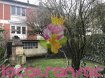 Maison Vente 3 chambres à Rombas - 143 000 € CE BIEN EST SOUS COMPROMIS DE VENTE !
Les visites sont suspendues. Merci pour votre compréhension.
- - - - - -
A proximité du Fond Saint-Martin, sur terrain de 6.88 ares maison mitoyenne (1 côté) de type F4 de 84m² habitables sur sous-sol total.