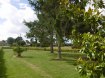Terrain Vente à Missillac - 44 000 € TERRAIN CONSTRUCTIBLE PROCHE COMMERCES ET ECOLES. TERRAIN CONSTRUCTIBLE d'environ 680m² avec belle façade proche centre.Tous réseaux sur route, assainissement collectif.CENTRE - REF 10142Prix 44.000 Euros HAIAGENCE IGOR IMMOBILIER MISSILLACTEL 02.40.90.17.82.www.igor-immobilier.com dont 10.00 % honoraires TTC à la charge de l'acquéreur.