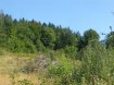 Terrain constructible Vente à Gérardmer - 107 000 € LIEZEY 8 Kms de GERARDMER Terrain en lisière de forêt de 6000m² avec retenue d'eau (Etang) Plein SUD, au CALME