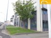 Location - Studio à Strassen prix : 1 050 € Très beau studio entièrement meublé, situé au 2ième étage d'une résidence soignée et sécurisée à Strassen.
Ce bien se compose de :
- 1 grande chambre
- 1 cuisine entièrement équipée ouverte
- 1 salle de douche avec WC
- 1 buanderie commune avec lave-linge privé
- 1 grand grenier et 1 local commun pour vélos
- 1 emplacement intérieur privé
- Double vitrage et porte de sécurité
- Studio pour 2 personnes maximum
- Libre 15/10/2017 ou 01/11/2017
- Contrat min. 1 an
N'attendez plus, contactez-nous par mail sur info@gng.lu ou au 621 366 377.
Découvrez toutes nos offres sur www.gng.lu
