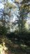 Terrain constructible Vente à Trélon - 38 000 € TRELON. TRELON Parcelle boisée sur plus de 4ha (composée de frênes)