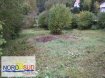 Terrain constructible Vente à Rohrbach-lès-Bitche - 21 000 € Secteur ROHRBACH les BITCHETerrain constructible non viabilisé de 775 m² avec 30 m de façade, situé au calme, pas de vis à vis particulier.Nord Sud ImmobilierBITCHE au 03 87 27 01 80 Rohrbach 03 87 96 33 84 Sarreguemines 03 87 02 83 36et sur www.nordsud-immobilier.fr