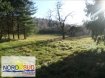 Terrain constructible Vente à Bitche - 69 900 € CONSTRUCTIBLE VIABILISE BITCHE - 5804 m2. UNIQUE SUR BITCHE~~Superbe terrain constructible viabilisé et clos, d'une surface de 58 Ares avec 59 mètres de façade et 84 mètres de profondeur. ~ CU positif. Contact Nord sud immobilier~Bitche 0387270180~Rohrbach les Bitche 03 87 96 33 84~Sarreguemines 03 87 02 83 36