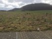 Terrain Vente à Kayl - 453 000 € Terrain no10
Beau terrain à bâtir de 4a50ca pour la construction d'une une maison libre de 3 côtés dans un beau lotissement nommé «Helbertsbaam» sis à Kayl.
Le terrain est libre de contrat de construction et se trouve dans la rue des Fondeurs.
Le lotissement se trouve dans un endroit calme de Kayl en pleine verdure.