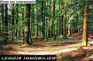 Terrain non constructible Vente à Hettange-Grande - 17 900 € Sur la commune de Hettange grande, lots de parcelles de forêt plates pour un total de 2,74 hectares dont 34 ares boisés.
Idéal investissement forestier et/ou long terme en personnel ou professionnel.
Prix de bois de chauffage en constante augmentation.
Non soumis à DPE.
Honoraires charges vendeur inclus.
LENOIR IMMOBILIER : Vente, Location, Gestion depuis 2010.