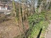 Terrain constructible Vente à Longwy - 91 800 € Situé à LONGWY-BAS, Terrain de 7 ares, à viabiliser, 40 mètres en façade et 36 mètres sur l'arrière du terrain, 14 mètres (côté gauche) et 20 mètres (côté droit) en profondeur. Le terrain est boisé, plat mais il y a un talus en bordure sur l'avant de la parcelle.
