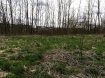 Terrain constructible Vente à Useldange - 750 000 € Terrain de construction plat (24,50 ares) pour une maison libre des 4 côtés sans contrat de construction. Situation très calme avec vue dégagée. Orientation plein sud à l'arrière.
Sans PAP. Possibilité de construire une maison libre des 4 côtés.
Largeur terrain: +- 24 mètres
Profondeur terrain: +- 100 mètres
Pour tout renseignement complémentaire, n'hésitez pas à contacter notre bureau de vente au 621 146 153 ou par mail au info@groupeavl.lu