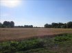 Terrain Vente à Flines-lez-Raches - 112 000 € Votre agence Vitrin'Immo vous propose, ce beau terrain à bâtir situé à proximité d'Orchies et à moins de 10 minutes des axes autoroutiersSitué à proximité à Flines lez Raches dans un quartier calme et recherché, nous vous proposons ce grand terrain à bâtir d'environ 1700 m² proposant une façade de 17,21 mètres.Petit plus: possibilité de construire en retrait par rapport à la route.Avis de l'agence: idéalement situé.Villes proches: Faumont, Orchies, Coutiches, ...Patrick Laisne, RCS 454020223