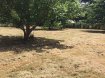 Terrain Vente à Héric - 116 500 € Terrain Héric 925 m2. Héric, quartier agréable, commerces, écoles primaires, collèges à pied.Exposé plein sud terrain en deuxième rideaux, à viabiliser, libre de constructeur.Contactez Séverine Dano (n° siret: 80029587500010) : 0682885152Prix HAI: 116500euros (110000euros net vendeur + 6500euros honoraires agence à la charge de l'acquéreur) dont 5.91 % honoraires TTC à la charge de l'acquéreur.