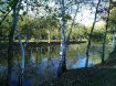 Terrain constructible Vente à La Bruère-sur-Loir - 68 000 € Superbe terrain de loisir. A 10 mn de Château du loir.Un petit coin de paradis, le plein de nature et de détente vous y attends avec son étang poissonneux. Pas de vis-a-vis. Pour un couchage maximum, un mobilhome entièrement rénové et décoré avec goût et plusieurs dépendances. Terrain paysagé de 5411 m² avec un étang d'environ 1500 m². La visite s'impose.*Honoraires inclus charge acquéreur : 7.94% TTC (prix 63000.00 euros hors honoraires). N° portable : 0685994847, Activité exercée sous le statut d'agent commercial