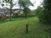 Maison Vente 4 chambres à Volmerange-les-Mines - 453 000 € Belle maison mitoyenne F6 de 1978 d’environ 217 m2 habitables (267m2 en tout) sur environ 7.19 ares.
Au RdC (carrelé) : Un hall d’entrée de 27 m2 dessert un grand garage 2 voitures l’une derrière l’autre, une chaufferie/cave de 13 m2 , une chambre de 25.45 m2 et une buanderie de 26m2 avec accès à une cour intérieure qui permet de garer 2 véhicules. Un bel escalier en marbre conduit à l’étage.
Au 1er étage (carrelé) : Un grand palier de 14 m2 + un DGT de 4m2, 1 beau salon séjour de 30.31m2 avec cheminée avec insert attenante à une cuisine d’origine de 19.64 m2, les 2 plein sud, très lumineux, avec portes fenêtres vers balcon filant qui donne accès à la terrasse et jardin, 3 chambres sur parquet flottant (20.90, 17.80 et 10.50 m2), SdB d’origine 11 m2, WC avec fenêtre de 2.88 m2 , un débarras borgne de 7.34 m2
Double vitrage d’origin
chauffage électriques et poêle à bois et une cheminée avec insert
Toiture refaite en 1993, est en ardoises synthétiques
Façade en pierre de Beauvillon pour la partie basse et peinture plus récente sur l’étage